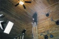 Eagle Inside Cabin